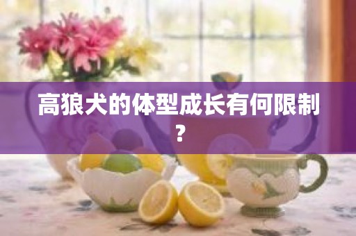 高狼犬的体型成长有何限制？