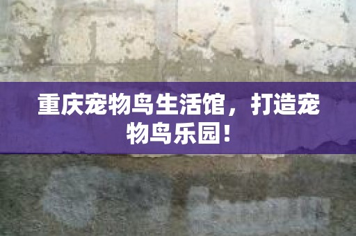 重庆宠物鸟生活馆，打造宠物鸟乐园！