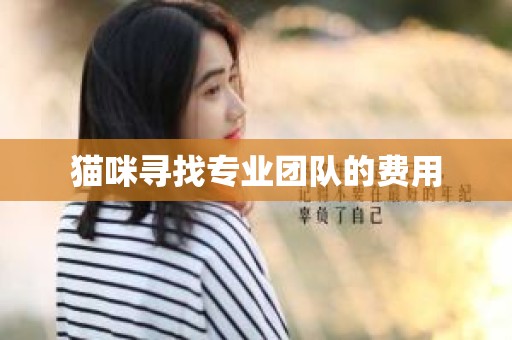 猫咪寻找专业团队的费用