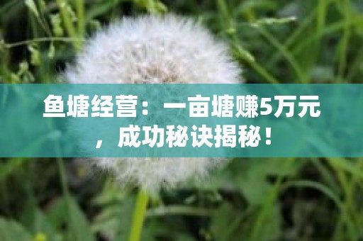 鱼塘经营：一亩塘赚5万元，成功秘诀揭秘！