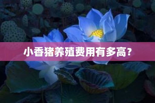 小香猪养殖费用有多高？