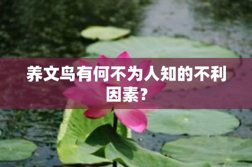 养文鸟有何不为人知的不利因素？