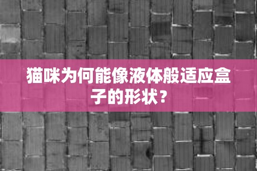 猫咪为何能像液体般适应盒子的形状？