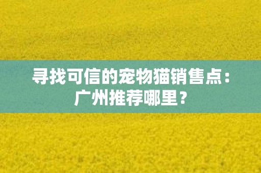 寻找可信的宠物猫销售点：广州推荐哪里？