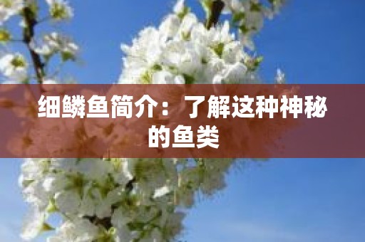 细鳞鱼简介：了解这种神秘的鱼类