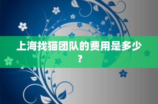 上海找猫团队的费用是多少？