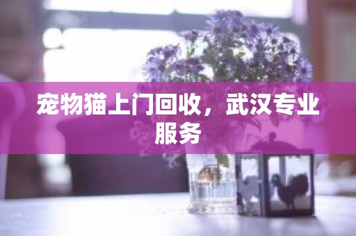 宠物猫上门回收，武汉专业服务