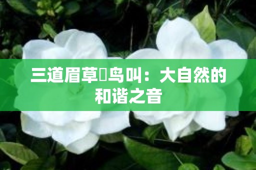 三道眉草鹀鸟叫：大自然的和谐之音