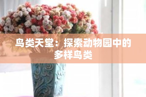 鸟类天堂：探索动物园中的多样鸟类