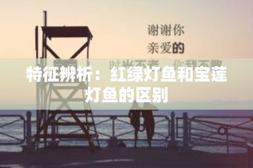 特征辨析：红绿灯鱼和宝莲灯鱼的区别