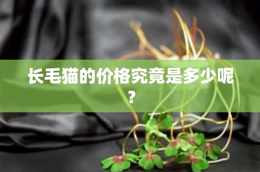 长毛猫的价格究竟是多少呢？