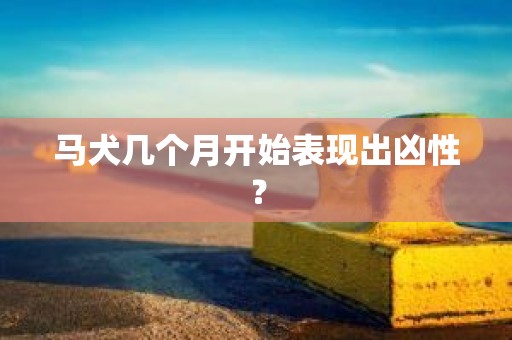 马犬几个月开始表现出凶性？