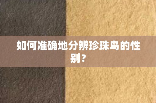 如何准确地分辨珍珠鸟的性别？