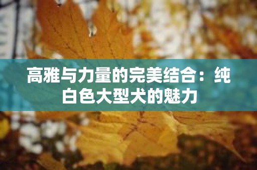 高雅与力量的完美结合：纯白色大型犬的魅力