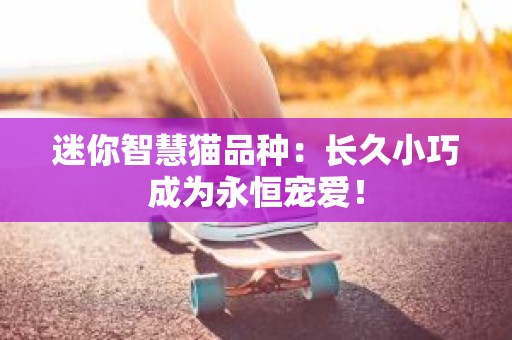 迷你智慧猫品种：长久小巧成为永恒宠爱！