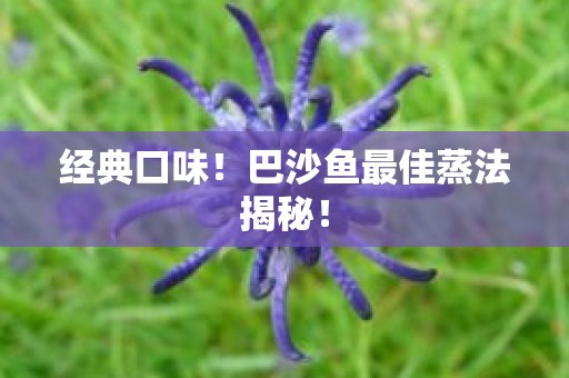 经典口味！巴沙鱼最佳蒸法揭秘！