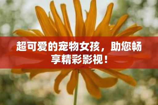 超可爱的宠物女孩，助您畅享精彩影视！