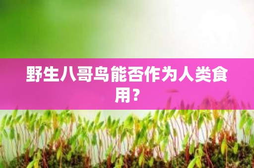 野生八哥鸟能否作为人类食用？