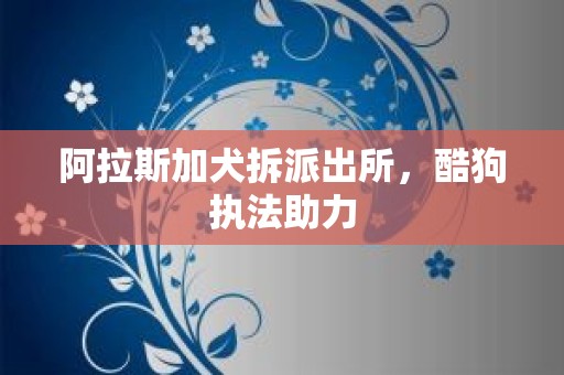 阿拉斯加犬拆派出所，酷狗执法助力