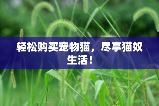 轻松购买宠物猫，尽享猫奴生活！