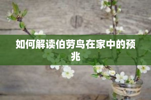如何解读伯劳鸟在家中的预兆