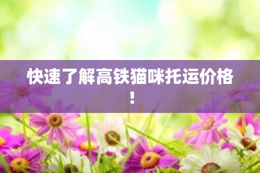 快速了解高铁猫咪托运价格！