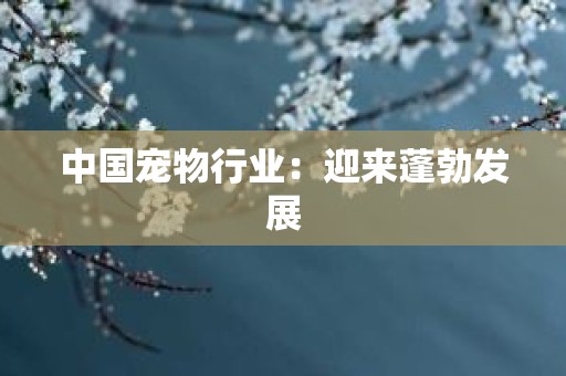 中国宠物行业：迎来蓬勃发展