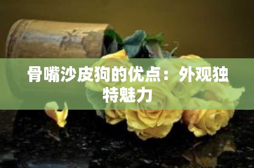 骨嘴沙皮狗的优点：外观独特魅力