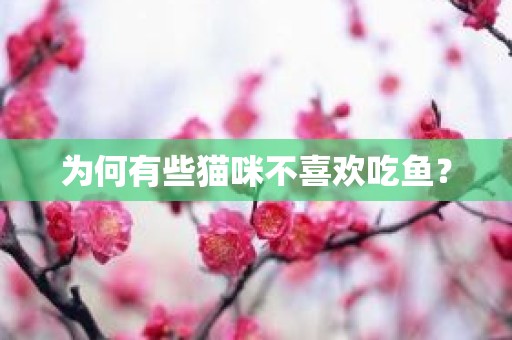 为何有些猫咪不喜欢吃鱼？