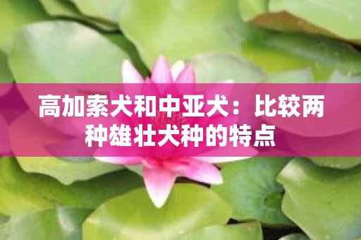 高加索犬和中亚犬：比较两种雄壮犬种的特点