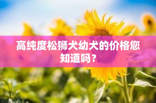 高纯度松狮犬幼犬的价格您知道吗？