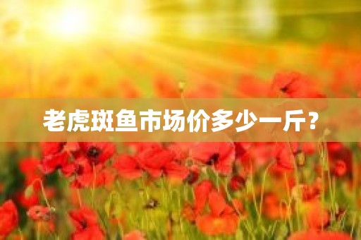 老虎斑鱼市场价多少一斤？