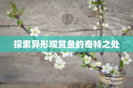 探索异形观赏鱼的奇特之处
