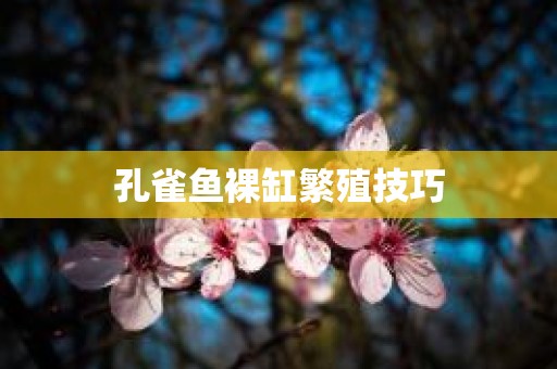 孔雀鱼裸缸繁殖技巧