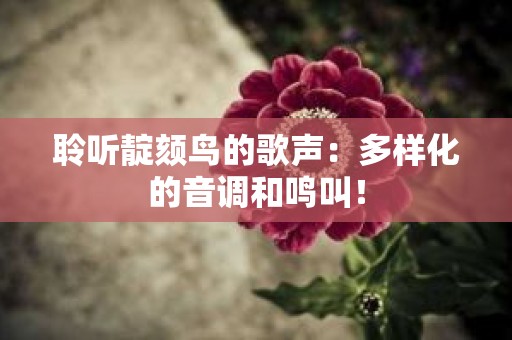 聆听靛颏鸟的歌声：多样化的音调和鸣叫！