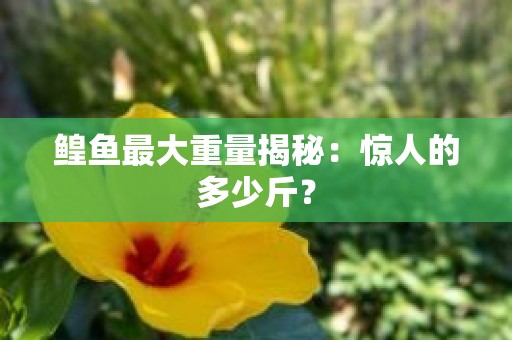 鳇鱼最大重量揭秘：惊人的多少斤？