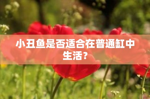 小丑鱼是否适合在普通缸中生活？