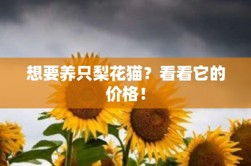 想要养只梨花猫？看看它的价格！