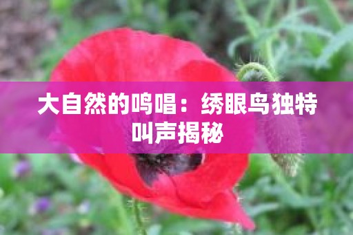 大自然的鸣唱：绣眼鸟独特叫声揭秘