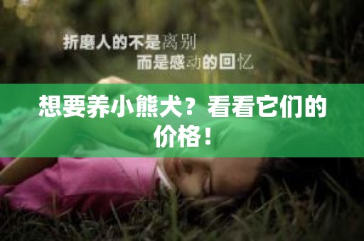 想要养小熊犬？看看它们的价格！