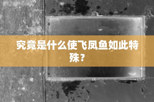 究竟是什么使飞凤鱼如此特殊？