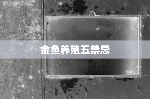 金鱼养殖五禁忌