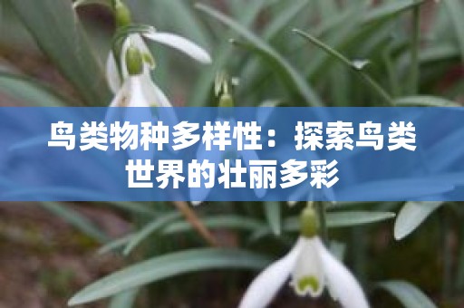 鸟类物种多样性：探索鸟类世界的壮丽多彩