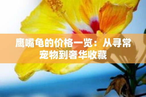 鹰嘴龟的价格一览：从寻常宠物到奢华收藏