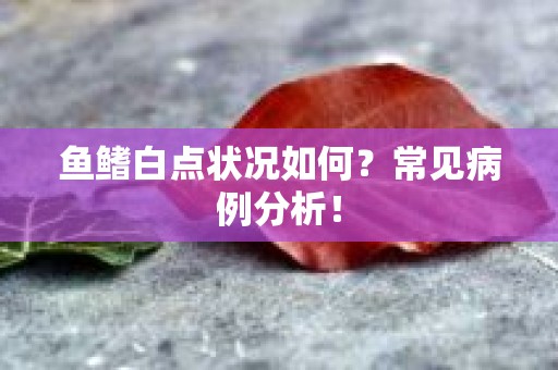 鱼鳍白点状况如何？常见病例分析！