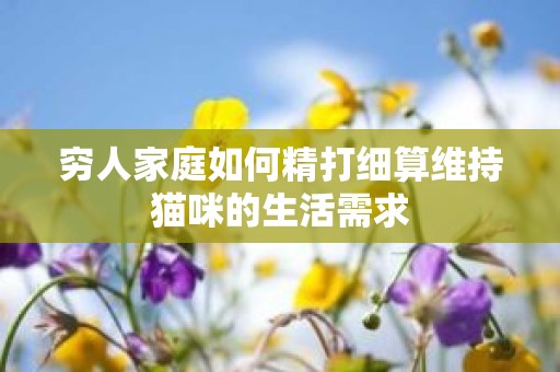 穷人家庭如何精打细算维持猫咪的生活需求