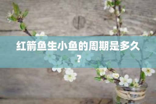 红箭鱼生小鱼的周期是多久？