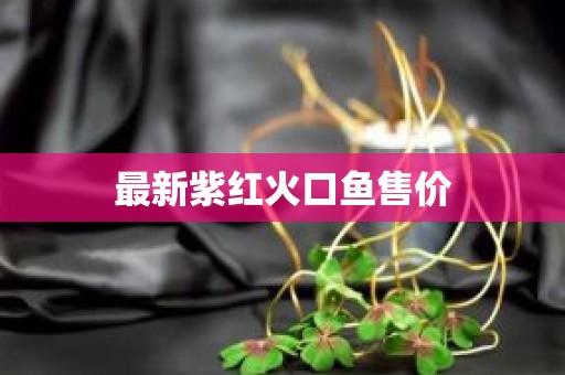 最新紫红火口鱼售价