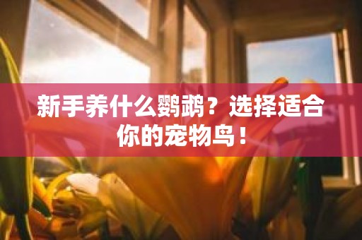 新手养什么鹦鹉？选择适合你的宠物鸟！
