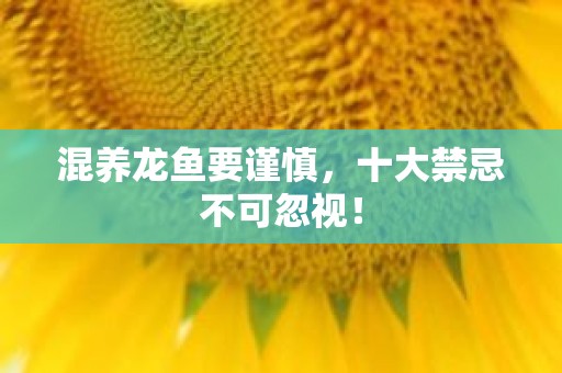 混养龙鱼要谨慎，十大禁忌不可忽视！